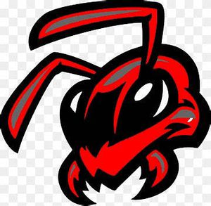 Custom Listing - Josh R. - Fire Ants Baseball Helmet Logo Decals