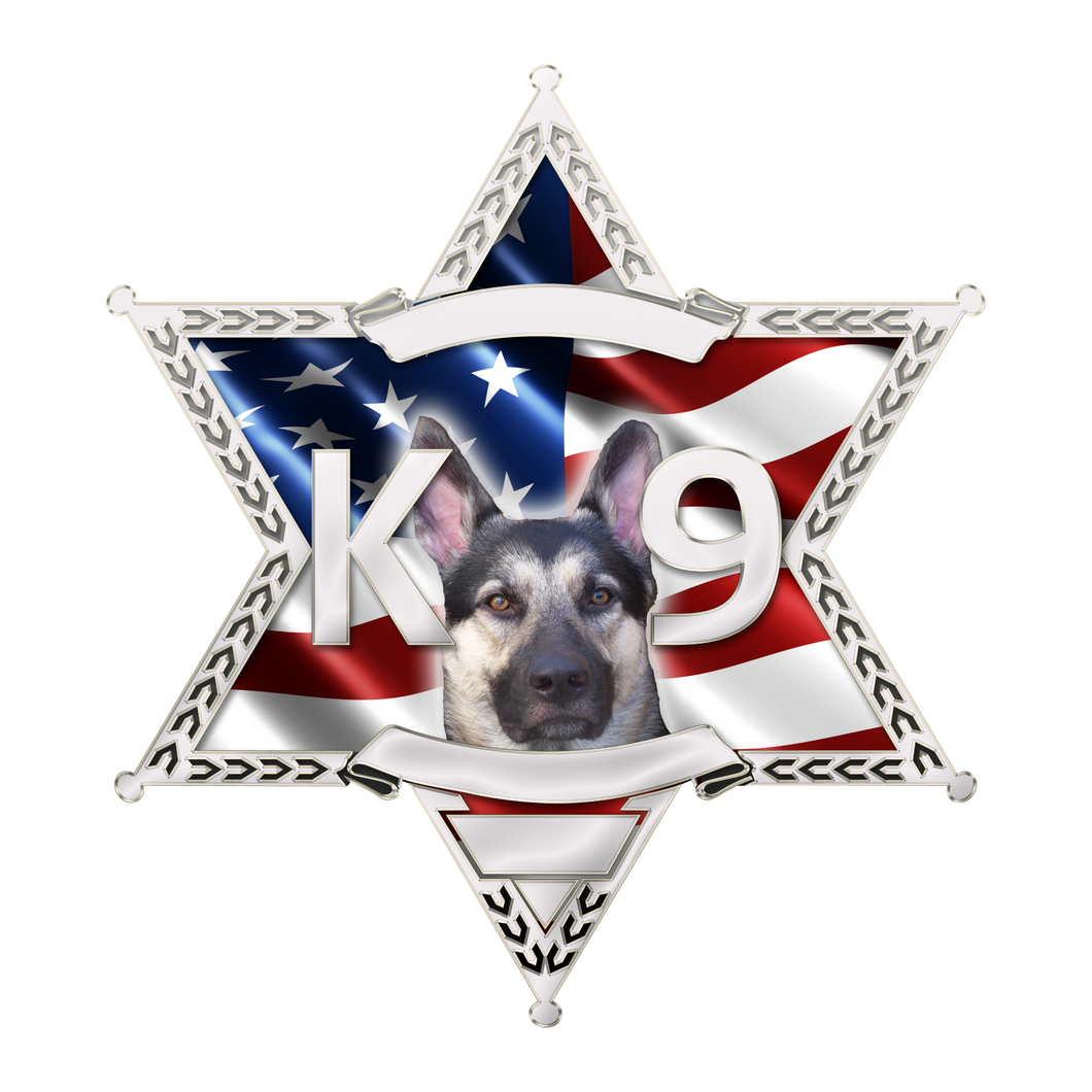 Police Sheriff Star 6 Point Wavy US Flag K9 Reflective Decals