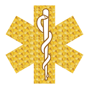 Gold Leaf Style Star Of Life Reflective Decals