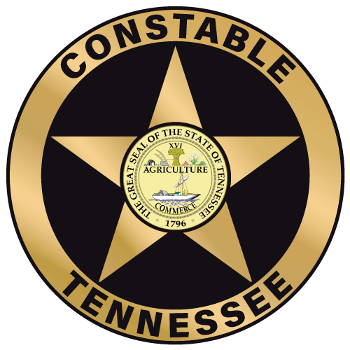 Custom Listing for Brandon W. - Reflective TN Constable Rounds